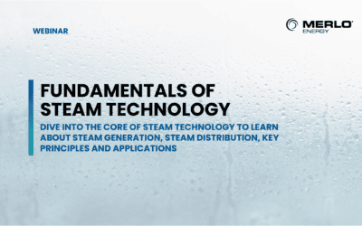 Fundamentals of Steam Technology