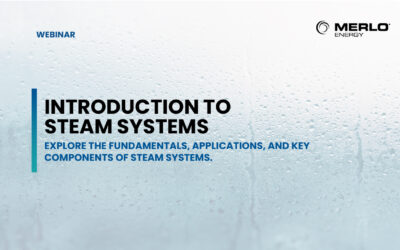 Introduction to Steam Systems
