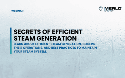 Secrets of Efficient Steam Generation