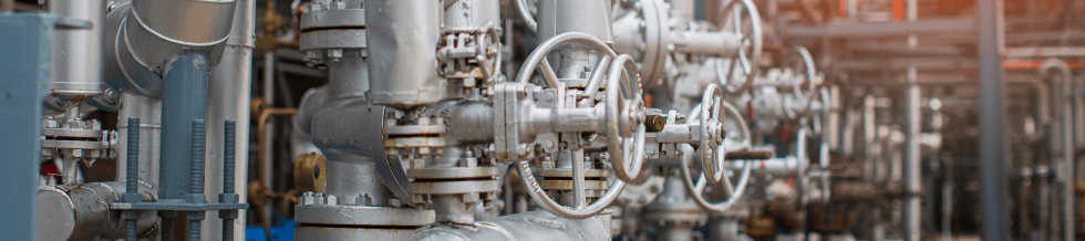 Steam Trap Management